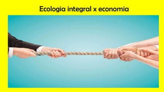 Ecologia integral x economia
 