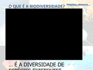 O QUE É A BIODIVERSIDADE? …  É A DIVERSIDADE DE ESPÉCIES EXISTENTES 