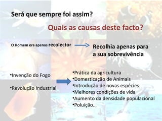 Será que sempre foi assim? Quais as causas deste facto? O Homem era apenas  recolector Recolhia apenas para a sua sobrevivência Invenção do Fogo Revolução Industrial Prática da agricultura Domesticação de Animais Introdução de novas espécies Melhores condições de vida Aumento da densidade populacional Poluição… 