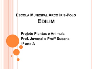 ESCOLA MUNICIPAL ARCO IRIS-POLO
EDILIM
Projeto Plantas e Animais
Prof. Juvenal e Profª Susana
1º ano A
 