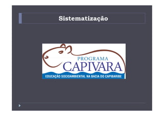 Sistematização
 