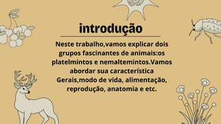 introdução
Neste trabalho,vamos explicar dois
grupos fascinantes de animais:os
platelmintos e nemaltemintos.Vamos
abordar sua característica
Gerais,modo de vida, alimentação,
reprodução, anatomia e etc.
 