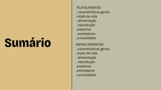 Sumário
PLATELMINTOS
. características gerais
.modo de vida
. alimentação
. reprodução
.anatomia
. exemplares
.curiosidades
NEMALTEMINTOS
. características gerais
.modo de vida
. alimentação
. reprodução
.anatomia
.exemplares
.curiosidades
 