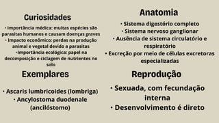 Reprodução
• Sexuada, com fecundação
interna
• Desenvolvimento é direto
Anatomia
• Sistema digestório completo
• Sistema nervoso ganglionar
• Ausência de sistema circulatório e
respiratório
• Excreção por meio de células excretoras
especializadas
Exemplares
• Ascaris lumbricoides (lombriga)
• Ancylostoma duodenale
(ancilóstomo)
Curiosidades
• Importância médica: muitas espécies são
parasitas humanos e causam doenças graves
• Impacto econômico: perdas na produção
animal e vegetal devido a parasitas
•Importância ecológica: papel na
decomposição e ciclagem de nutrientes no
solo
 