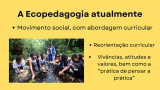 A Ecopedagogia atualmente
Movimento social, com abordagem curricular
Reorientação curricular
Vivências, atitudes e
valores, bem como a
“prática de pensar a
prática”
 