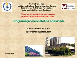 Centro Biomédico
               Instituto de Biologia Roberto Alcantara Gomes
                   Departamento de Ciências Fisiológicas
                     Laboratório de Fisiologia Endócrina

                   Risco cardiometabólico: dos estudos
                   populacionais às bases moleculares

         Programação neonatal da obesidade

                         Egberto Gaspar de Moura
                         egbertomoura@globo.com




Bogotá, 2010
 