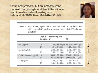 Leptin and prolactin, but not corticosterone,
modulate body weight and thyroid function in
protein-malnourished lactating rats
Lisboa et al (2006) Horm Metab Res 38: 1–5
                                                Patrícia Lisboa
 