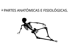  PARTES ANATÓMICAS E FISIOLÓGICAS.
 