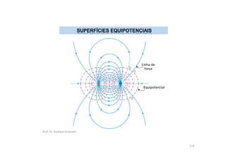 Prof. Dr. Giuliano Estevam
118
 