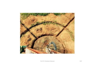 Prof. Dr. Giuliano Estevam 122
 