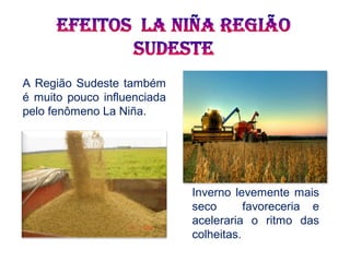 A Região Sudeste também
é muito pouco influenciada
pelo fenômeno La Niña.
Inverno levemente mais
seco favoreceria e
aceleraria o ritmo das
colheitas.
 