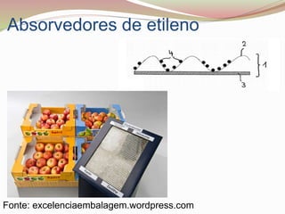 Absorvedores de etileno
Fonte: excelenciaembalagem.wordpress.com
 