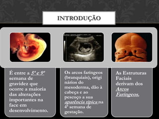 Introdução