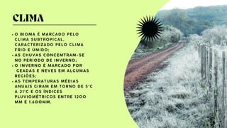 BIOMAS DO BRASIL: MATA ATLANTICA E PAMPAS | PDF