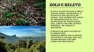 BIOMAS DO BRASIL: MATA ATLANTICA E PAMPAS | PDF