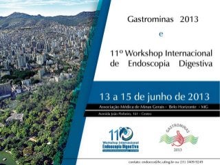 Gastrominas2013 e 11º Workshop Internacionalde Endoscopia