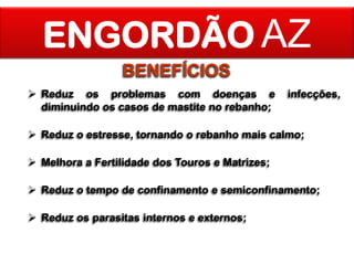 ENGORDÃO AZ
BENEFÍCIOS
 Reduz os problemas com doenças e
diminuindo os casos de mastite no rebanho;

infecções,

 Reduz o estresse, tornando o rebanho mais calmo;

 Melhora a Fertilidade dos Touros e Matrizes;
 Reduz o tempo de confinamento e semiconfinamento;
 Reduz os parasitas internos e externos;

 