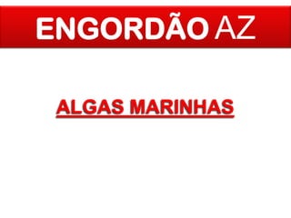 ENGORDÃO AZ
ALGAS MARINHAS

 