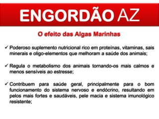 ENGORDÃO AZ
O efeito das Algas Marinhas
 Poderoso suplemento nutricional rico em proteínas, vitaminas, sais
minerais e oligo-elementos que melhoram a saúde dos animais;
 Regula o metabolismo dos animais tornando-os mais calmos e
menos sensíveis ao estresse;

 Contribuem para saúde geral, principalmente para o bom
funcionamento do sistema nervoso e endócrino, resultando em
pelos mais fortes e saudáveis, pele macia e sistema imunológico
resistente;

 