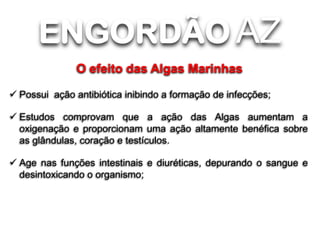 ENGORDÃO AZ
O efeito das Algas Marinhas
 Possui ação antibiótica inibindo a formação de infecções;
 Estudos comprovam que a ação das Algas aumentam a
oxigenação e proporcionam uma ação altamente benéfica sobre
as glândulas, coração e testículos.
 Age nas funções intestinais e diuréticas, depurando o sangue e
desintoxicando o organismo;

 