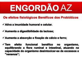 ENGORDÃO AZ
Os efeitos fisiológicos Benéficos dos Probióticos
 Ativa a imunidade humoral e celular.
 Aumenta a digestibilidade da lactose;
 Aumenta a absorção e fixação de cálcio e ferro;
 Tem efeito funcional benéfico no organismo,
equilibrando a flora ruminal e intestinal, atuando na
capacidade do organismo desintoxicar-se de excessos e
"venenos“;

 