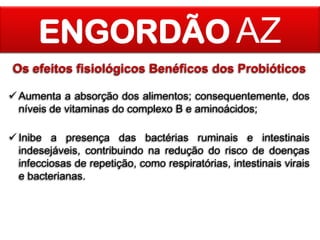 ENGORDÃO AZ
Os efeitos fisiológicos Benéficos dos Probióticos
 Aumenta a absorção dos alimentos; consequentemente, dos
níveis de vitaminas do complexo B e aminoácidos;
 Inibe a presença das bactérias ruminais e intestinais
indesejáveis, contribuindo na redução do risco de doenças
infecciosas de repetição, como respiratórias, intestinais virais
e bacterianas.

 