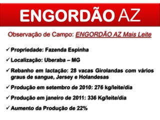 ENGORDÃO AZ
Observação de Campo: ENGORDÃO AZ Mais Leite
 Propriedade: Fazenda Espinha

 Localização: Uberaba – MG
 Rebanho em lactação: 28 vacas Girolandas com vários
graus de sangue, Jersey e Holandesas

 Produção em setembro de 2010: 276 kg/leite/dia
 Produção em janeiro de 2011: 336 Kg/leite/dia
 Aumento da Produção de 22%

 