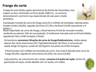Frango de corte
Frango de corte (Gallus gallus domesticus) da família das fasianídeas, tem
origem na Ásia. Conhecida na China desde 1400 A.C., os romanos
desenvolveram a primeira raça especializada de aves para criação
doméstica.
A produção mundial de carne de frango soma 61,2 milhões de toneladas, liderada pelos
Estados Unidos (26,8%), seguidos da China (17,2%) e do Brasil (15,8% equivalente a 4
bilhões ).
Maior exportador de carne de frango, o Brasil domina 47,5% do mercado mundial,
vendendo ao exterior 32% de sua produção. O tradicional mercado está no Oriente Médio,
seguido por Ásia, União Europeia e Rússia.
Os brasileiros consomem 38 quilos de carne de frango/habitante/ano, média abaixo
apenas dos norte-americanos (45,7 kg/habitante/ano). Na China, o consumo per
capita atinge 9,5 kg/ano, sendo de 16,8 kg/ano nos países da União Europeia.
O Brasil produz 22,5 milhões de toneladas de carne. Esse total é liderado pela carne de
frango (45,6%), seguida da carne bovina (41,6%) e da suína (12,8%).
Cada pintinho, do crescimento até o abate, consome 4,3 quilos de ração. Ganha 50
gramas/dia em peso, sendo abatido com 2,5 quilos, em média.

 