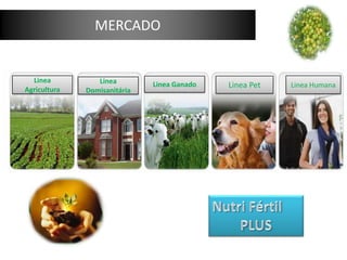 MERCADO

Linea
Agricultura

Linea
Domisanitária

Linea Ganado

Linea Pet

Linea Humana

 