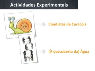 Actividades Experimentais


                Cientistas de Caracóis




                (À descoberta da) Água
 