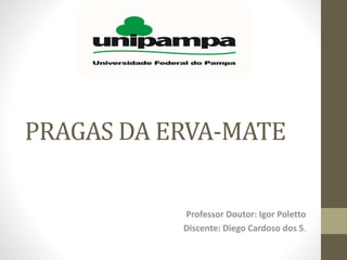 PRAGAS DA ERVA-MATE
Professor Doutor: Igor Poletto
Discente: Diego Cardoso dos S.

 