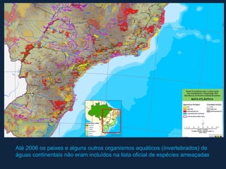 Até 2006 os peixes e alguns outros organismos aquáticos (invertebrados) de
águas continentais não eram incluídos na lista oficial de espécies ameaçadas
 