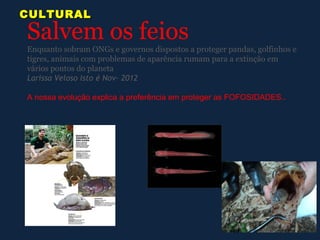 CULTURAL
Salvem os feios
Enquanto sobram ONGs e governos dispostos a proteger pandas, golfinhos e
tigres, animais com problemas de aparência rumam para a extinção em
vários pontos do planeta
Larissa Veloso Isto é Nov- 2012

A nossa evolução explica a preferência em proteger as FOFOSIDADES..
 