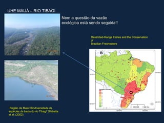 UHE MAUÁ – RIO TIBAGI
                                            Nem a questão da vazão
                                            ecológica está sendo seguida!!


                                                           Restricted-Range Fishes and the Conservation
                                                           of
                                                           Brazilian Freshwaters.

                                                           Nogueira et al (2010) Plos ONE




“Região de Maior Biodiversidade de
espécies da bacia do rio Tibagi” Shibatta
et al. (2002)
 