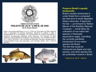 Preserve Brazil’s aquatic
biodiversity
Brazil’s aquatic biodiversity is
under threat from a proposed
law that aims to boost degraded
fishery resources. If approved,
the law — put forward by Nelson
Meurer of the Brazilian National
Congress — would allow the
cultivation of non-native fish
species in freshwater
aquaculture cages, overriding
the currently prohibited
introduction of non-native
species into Brazil.
The fish that would be
introduced are tilapia and carp
species, and other species that
are potentially invasive in Brazil
  Vitule et al. 2012 - Nature
 