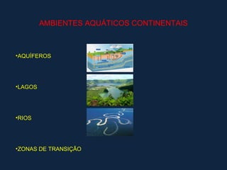 AMBIENTES AQUÁTICOS CONTINENTAIS



•AQUÍFEROS




•LAGOS




•RIOS




•ZONAS DE TRANSIÇÃO
 