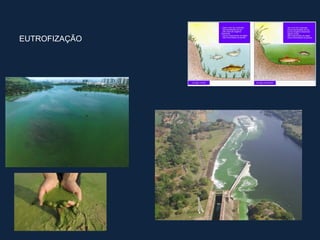 EUTROFIZAÇÃO
 