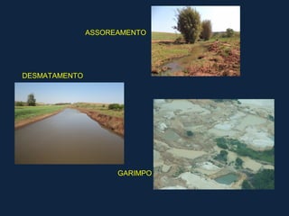 ASSOREAMENTO




DESMATAMENTO




                     GARIMPO
 