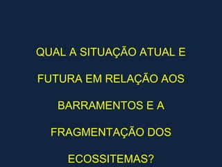 QUAL A SITUAÇÃO ATUAL E

FUTURA EM RELAÇÃO AOS

   BARRAMENTOS E A

  FRAGMENTAÇÃO DOS

    ECOSSITEMAS?
 