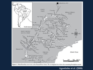 Agostinho et al. (2008)
 