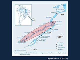 Agostinho et al. (2009)
 