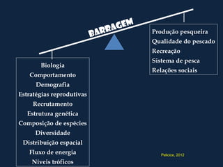 gem
                           Barra      Produção pesqueira
                                      Qualidade do pescado
                                      Recreação
                                      Sistema de pesca
       Biologia
                                      Relações sociais
   Comportamento
      Demografia
Estratégias reprodutivas
     Recrutamento
   Estrutura genética
Composição de espécies
     Diversidade
 Distribuição espacial
   Fluxo de energia                      Pelicice, 2012

    Níveis tróficos
 