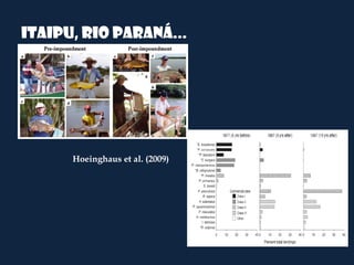 Itaipu, rio Paraná...




      Hoeinghaus et al. (2009)
 