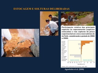 ESTOCAGEM E SOLTURAS DELIBERADAS




                             Agostinho et al. (2008)
 