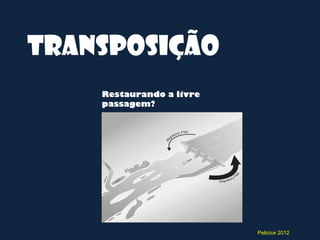 Transposição
    Restaurando a livre
    passagem?




                          Pelicice 2012
 