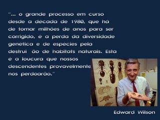 “... o grande processo em curso
desde a década de 1980, que há
de tomar milhões de anos para ser
corrigido, é a perda da diversidade
genética e de espécies pela
destruição de habitats naturais. Esta
é a loucura que nossos
descendentes provavelmente menos
nos perdoarão.”




                                   Edward Wilson
 