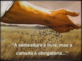 “A semeadura é livre, mas a colheita é obrigatória...”