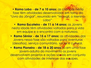•  Ramo Lobo - de 7 a 10 anos:  as crianças nesta fase têm atividades desenvolvidas em torno do “Livro da Jângal”, resumido em “Mowgli, o Menino-Lobo”  •   Ramo Escoteiro - de 11 a 14 anos:  os Jovens nesta idade têm atividades voltadas para a vida em equipe e o encontro com a natureza.  •   Ramo Sênior - de 15 a 17 anos:  as atividades dos Jovens nessa fase são voltadas para aventuras (desafios), serviço comunitário, social e cultural.  •   Ramo Pioneiro - de 18 a 20 anos:  já em uma fase jovem-adulta do movimento os jovens desenvolvem projetos e ações sociais em conjunto com atividades de interesse das equipes . 