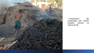 • Empresários são
condenados por manter
trabalho escravo no
interior de SP
 