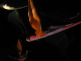 Apresentação estrelícias